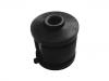 Control Arm Bushing:55116-29000